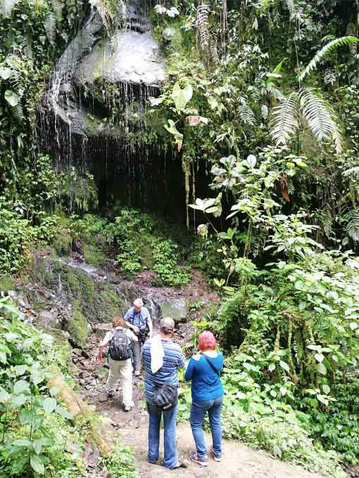 Trekking